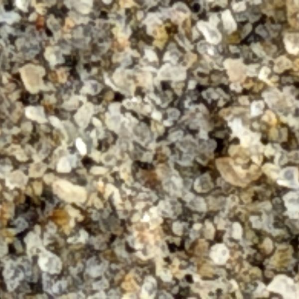 Beach sand, individual grains resolved